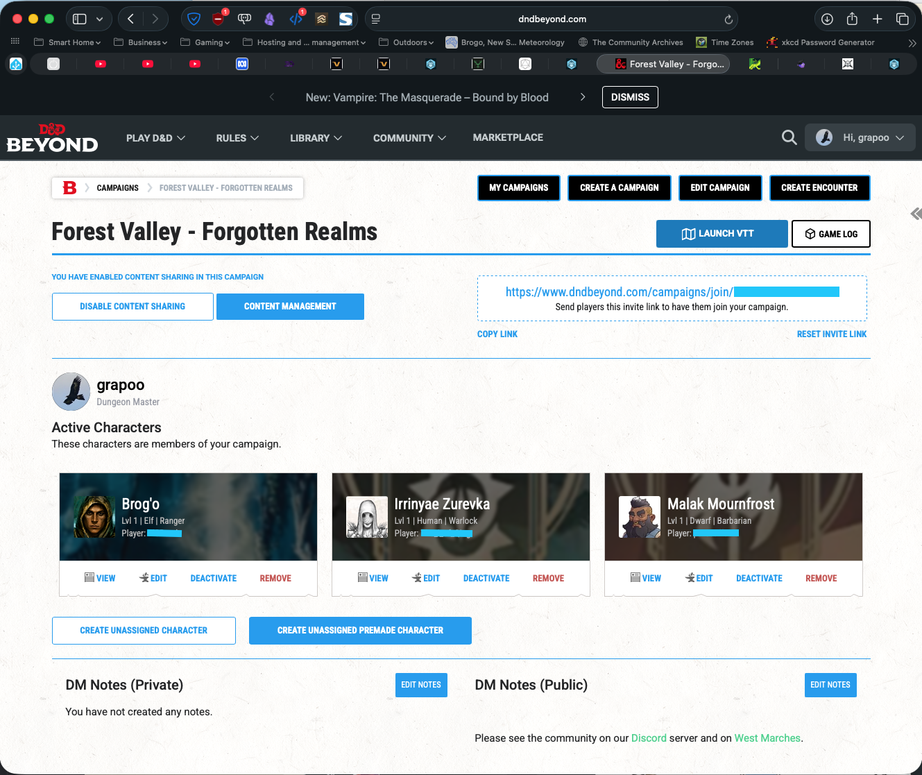 A screen grab of the D&D Beyond Campaign interface